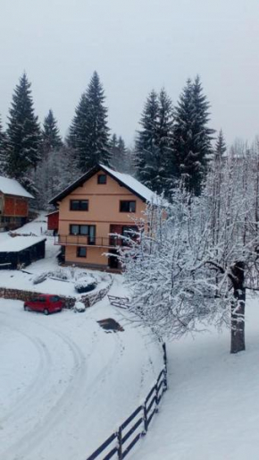 Apartman Miron Pale